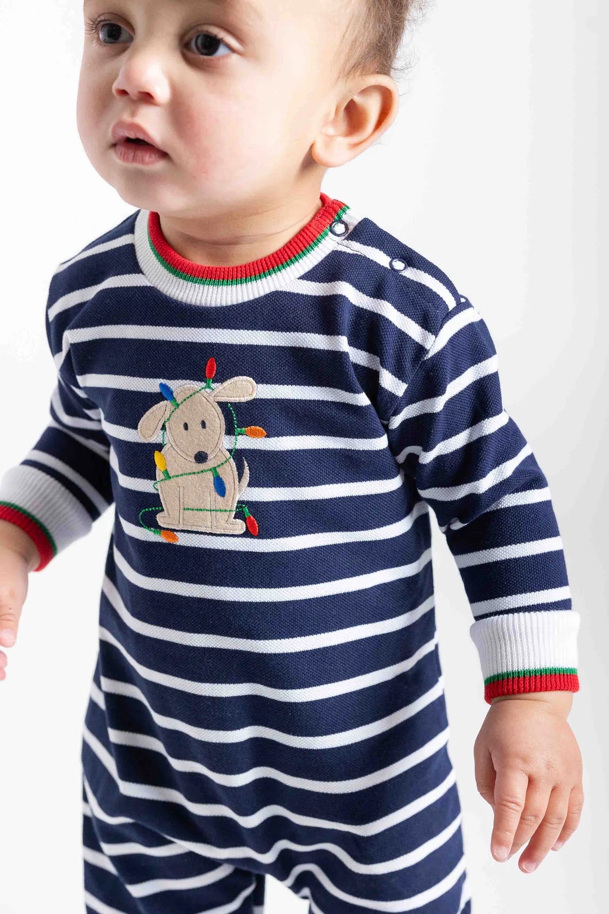 Florence Eiseman Stripe Knit Longall With Holiday Lights Dog