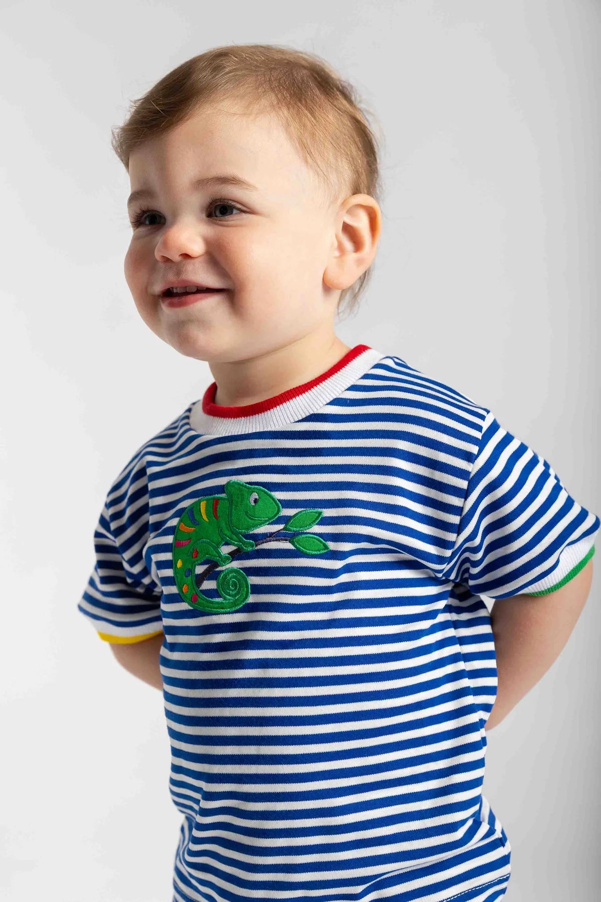 Stripe Knit T Shirt With Lizard
