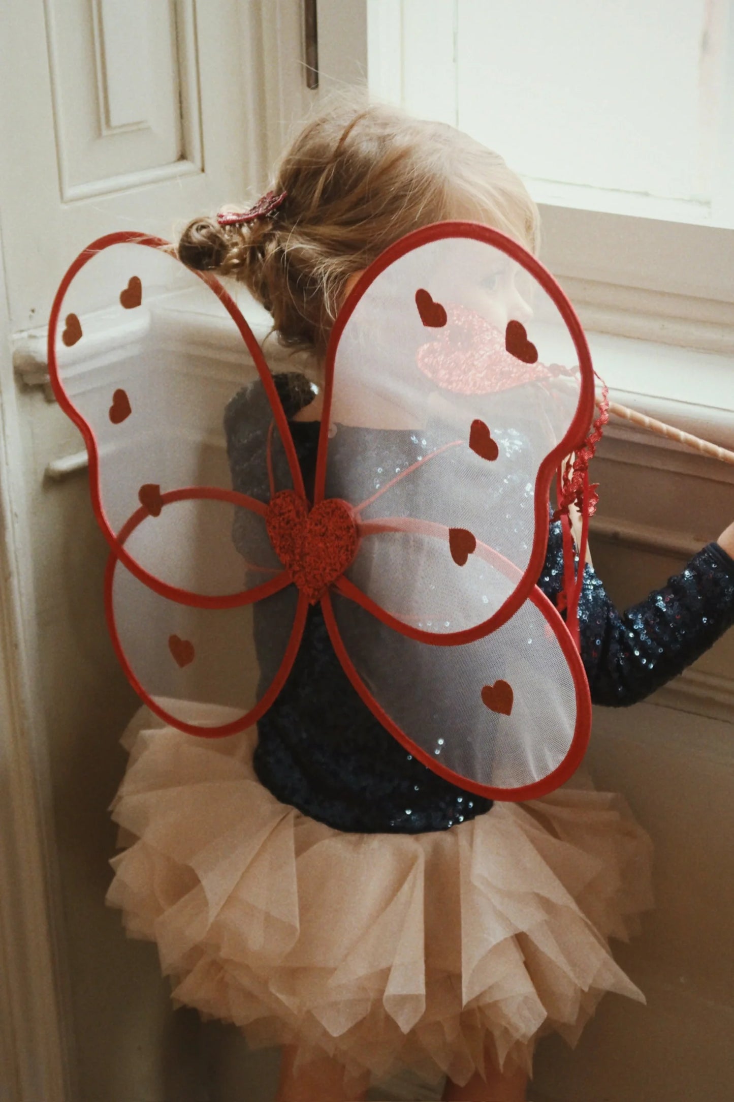 Fairy Costume- Heart
