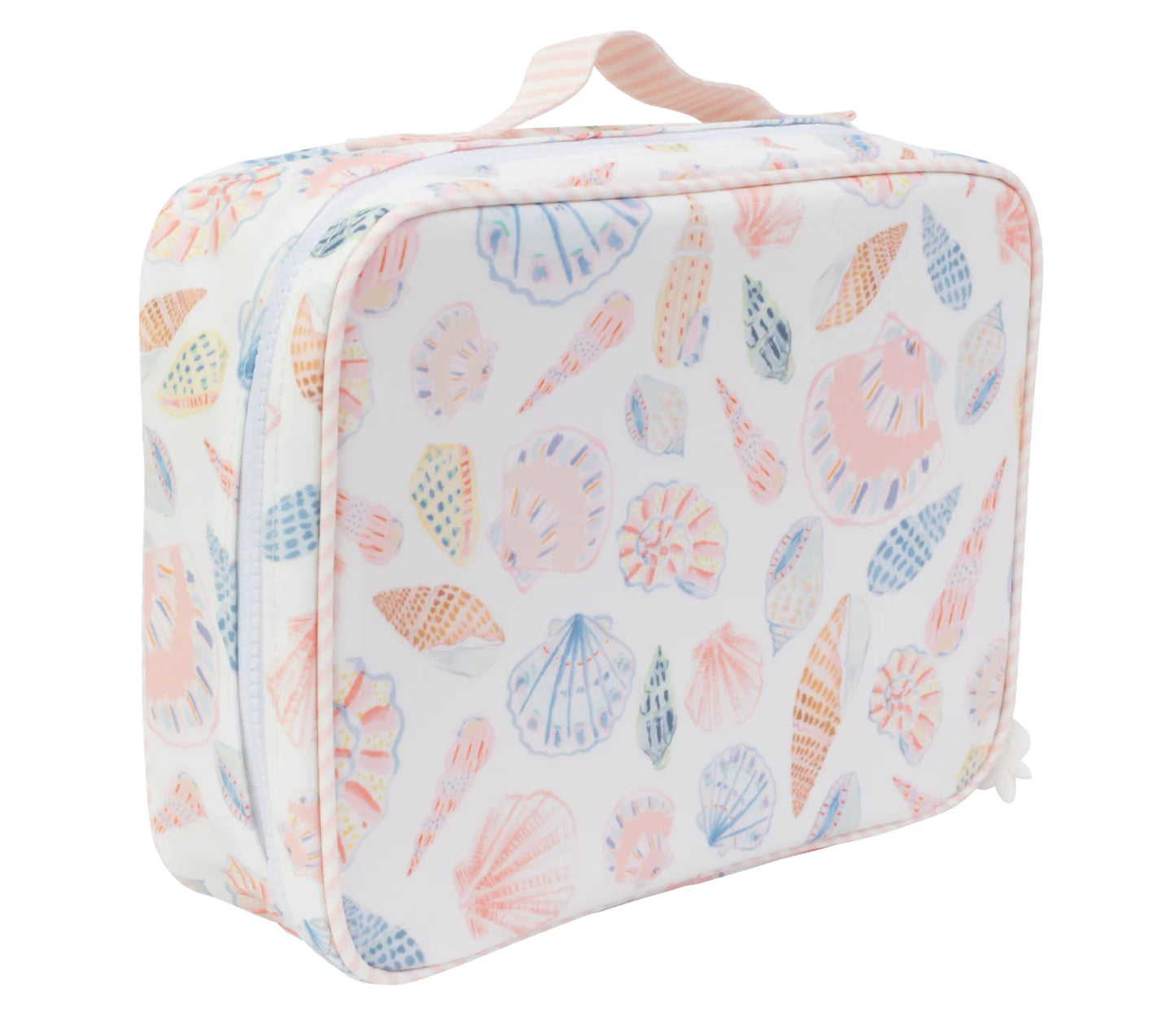 Shells Lunchbox