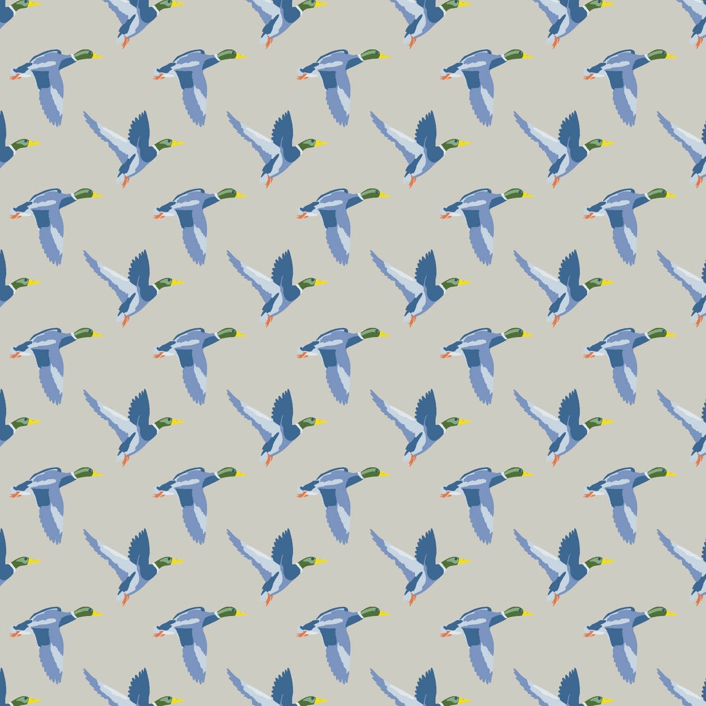 Hudson Boys' Short Set - Mallard Ducks
