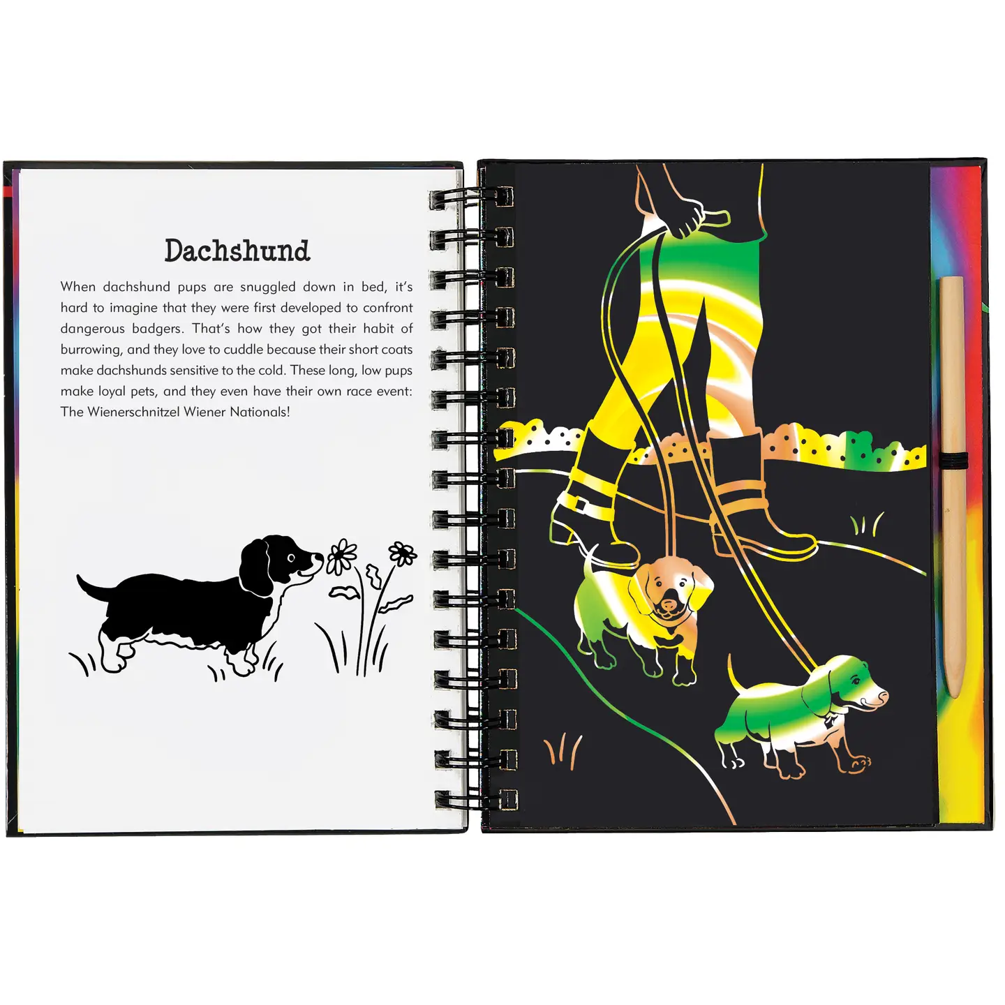 Scratch & Sketch™ Puppies (Trace Along)