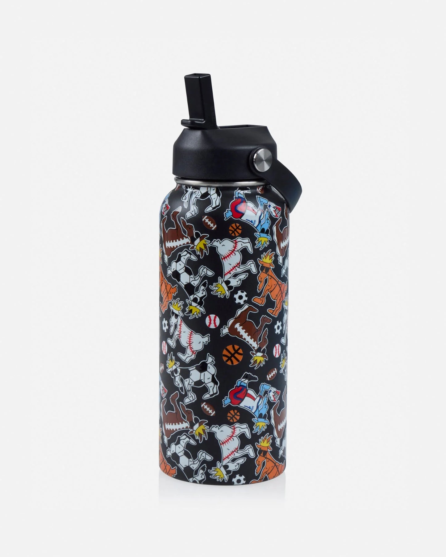 Sports Water Bottle