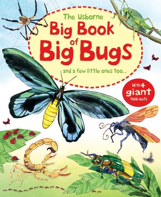 The Usborne Big Book of Big Bugs