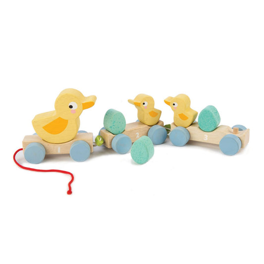 Tender Leaf Toys Pull Along Toys
