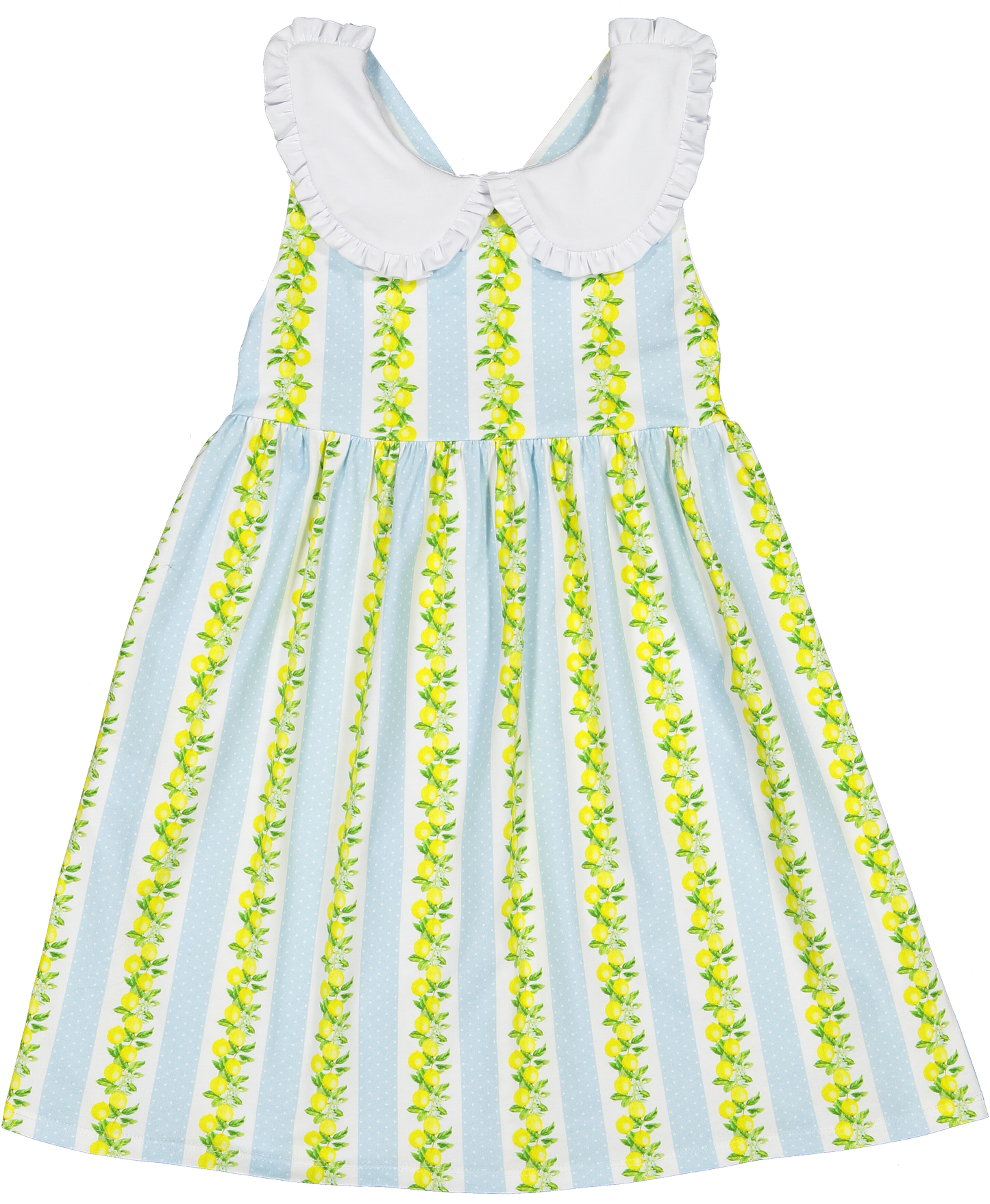 Sal and Lemon Tree A-Line Dress