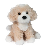 Darcy Golden Doodle