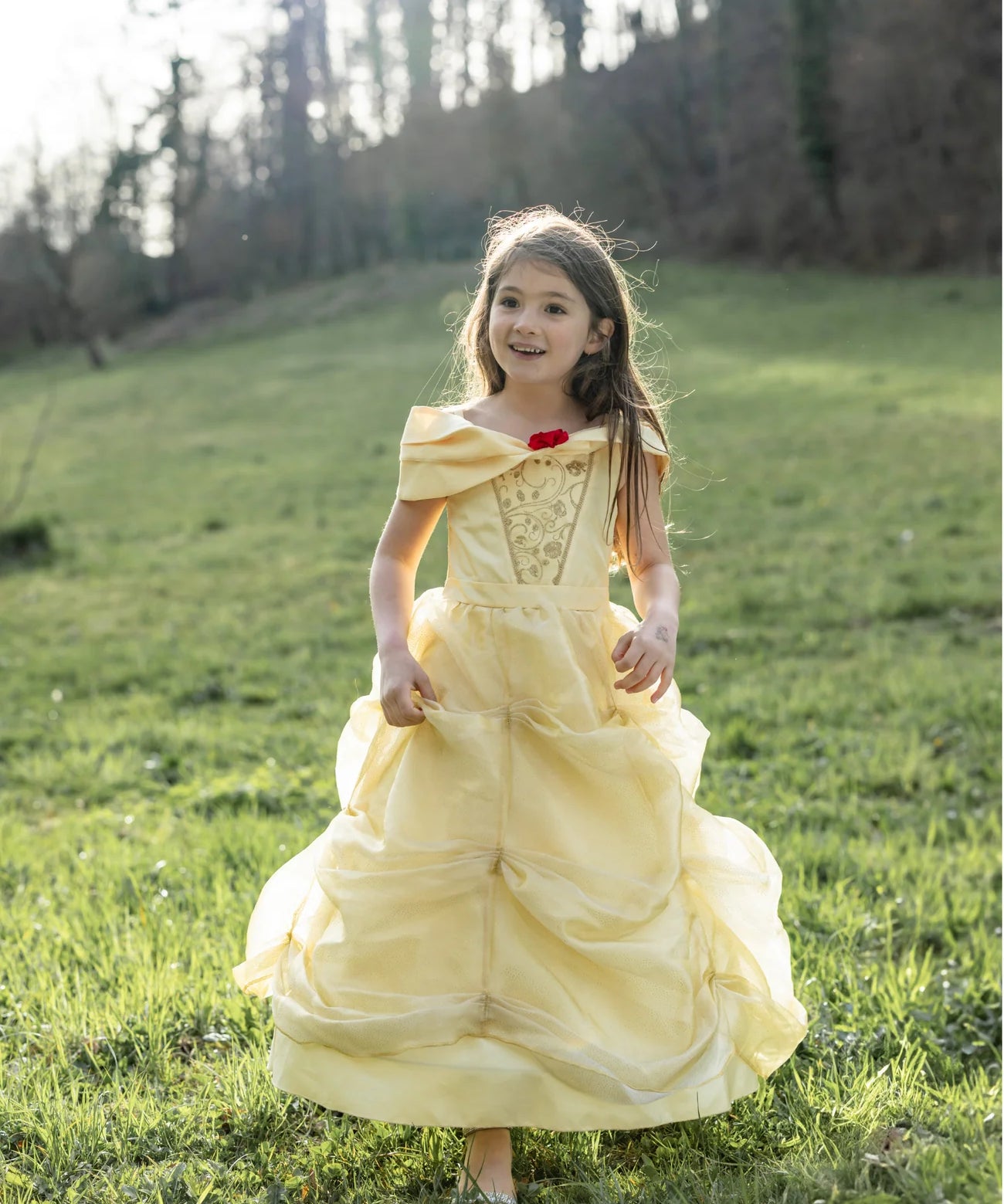 Once Upon a Princess Beauty Dress