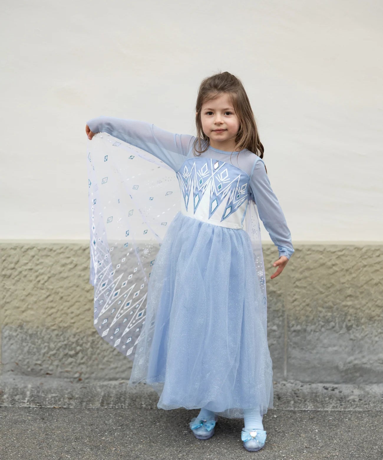 Once Upon a Princess Winter Dress