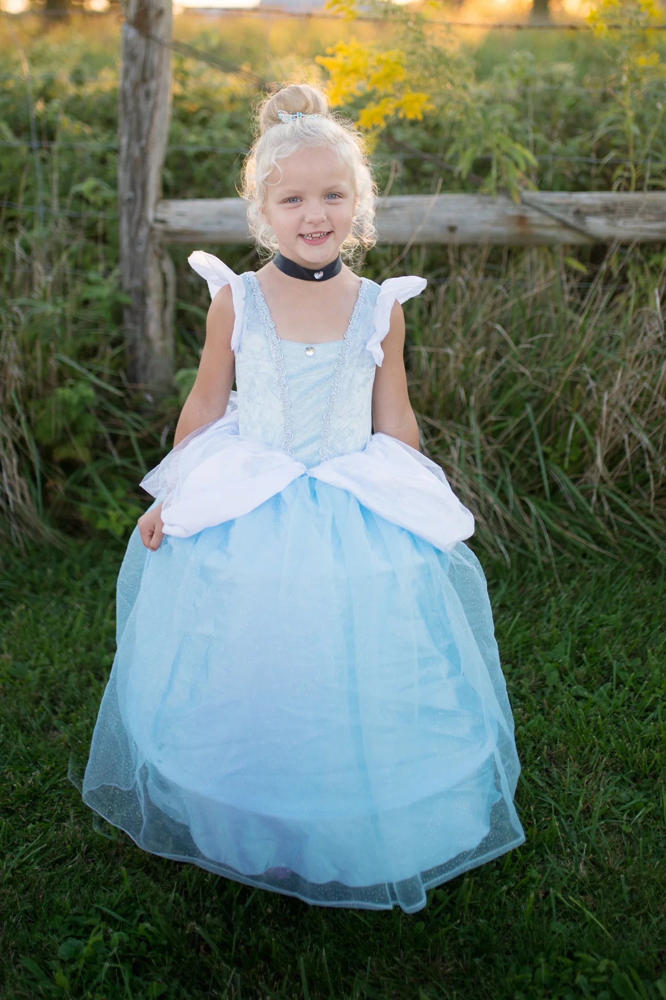 Great Pretenders Deluxe Cinderella Dress