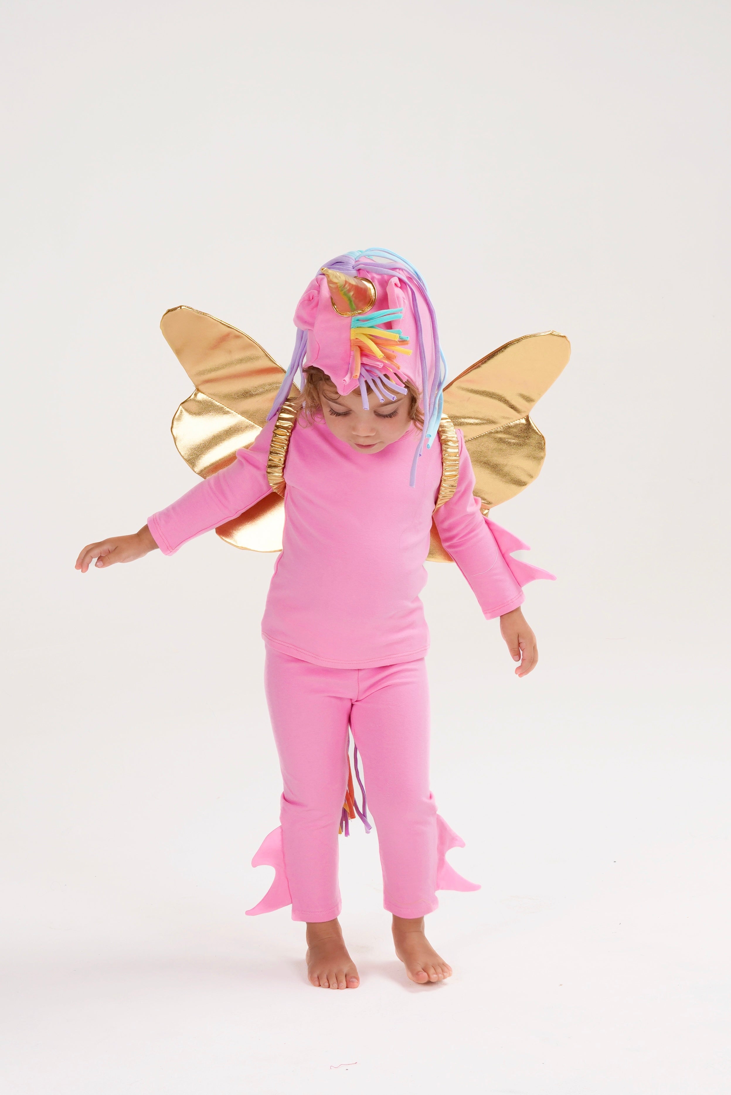Band of the Wild Pink Pegasus Halloween Costume