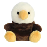 Murphy Bald Eagle