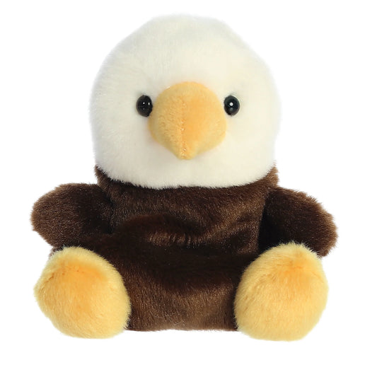 Murphy Bald Eagle