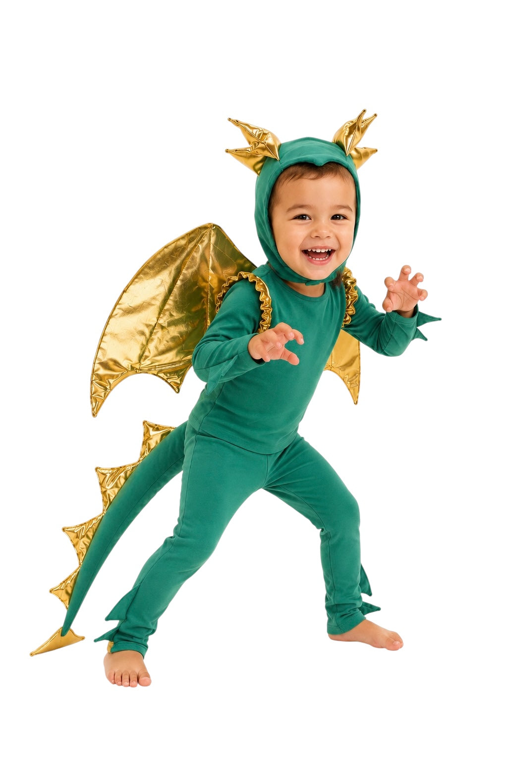 Band of the Wild Emerald Sky Dragon Costume
