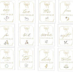 Over the Moon Month by Month Watercolor Baby Cards