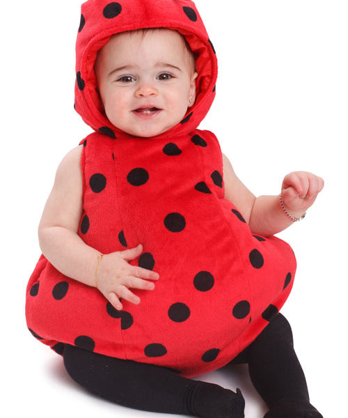 Dress Up America Ladybug Costume