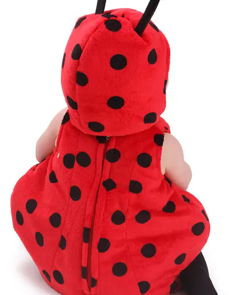 Dress Up America Ladybug Costume