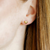 Screwback Stud Earrings - Hadley Gold