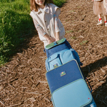 Person holding a blue suitcase outdoors on a sunny day