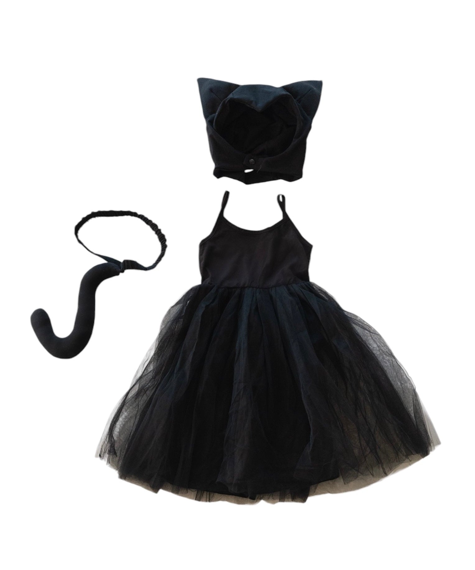 Band of the Wild Cat Tutu