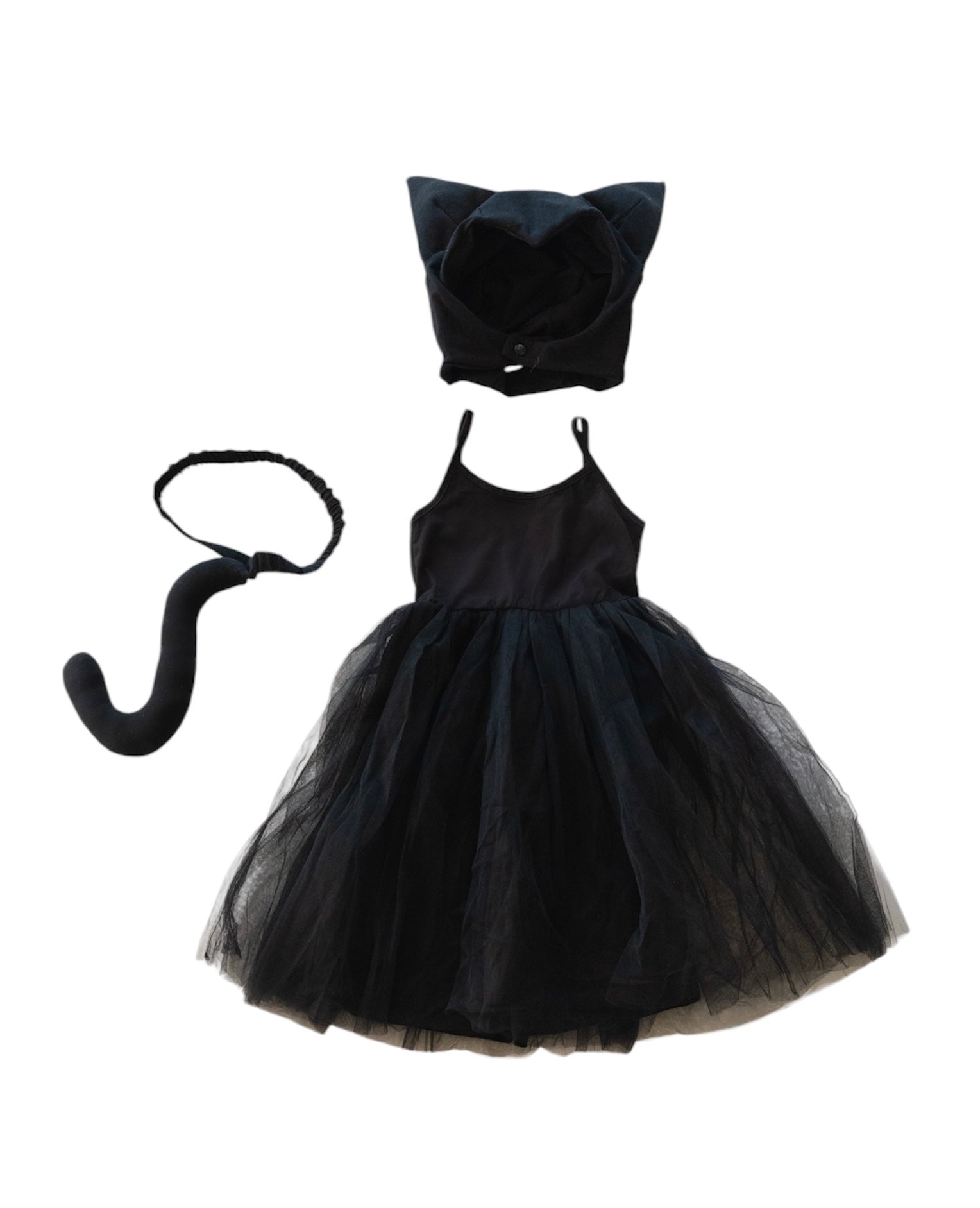 Band of the Wild Cat Tutu