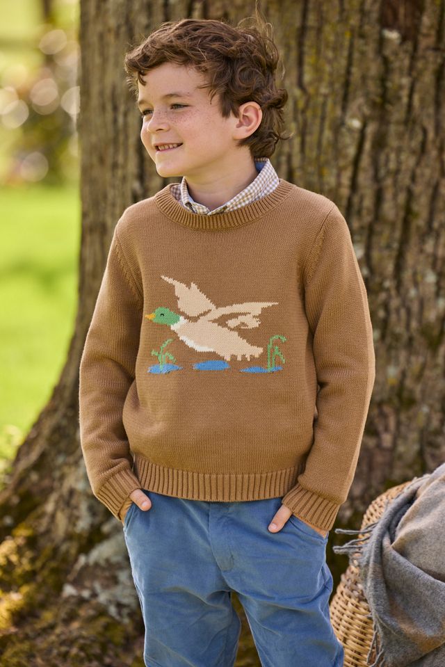 Little English Intarsia Sweater- Flying Mallard