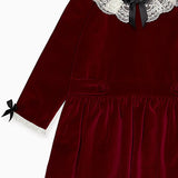 Burgundy Eva Velvet Dress