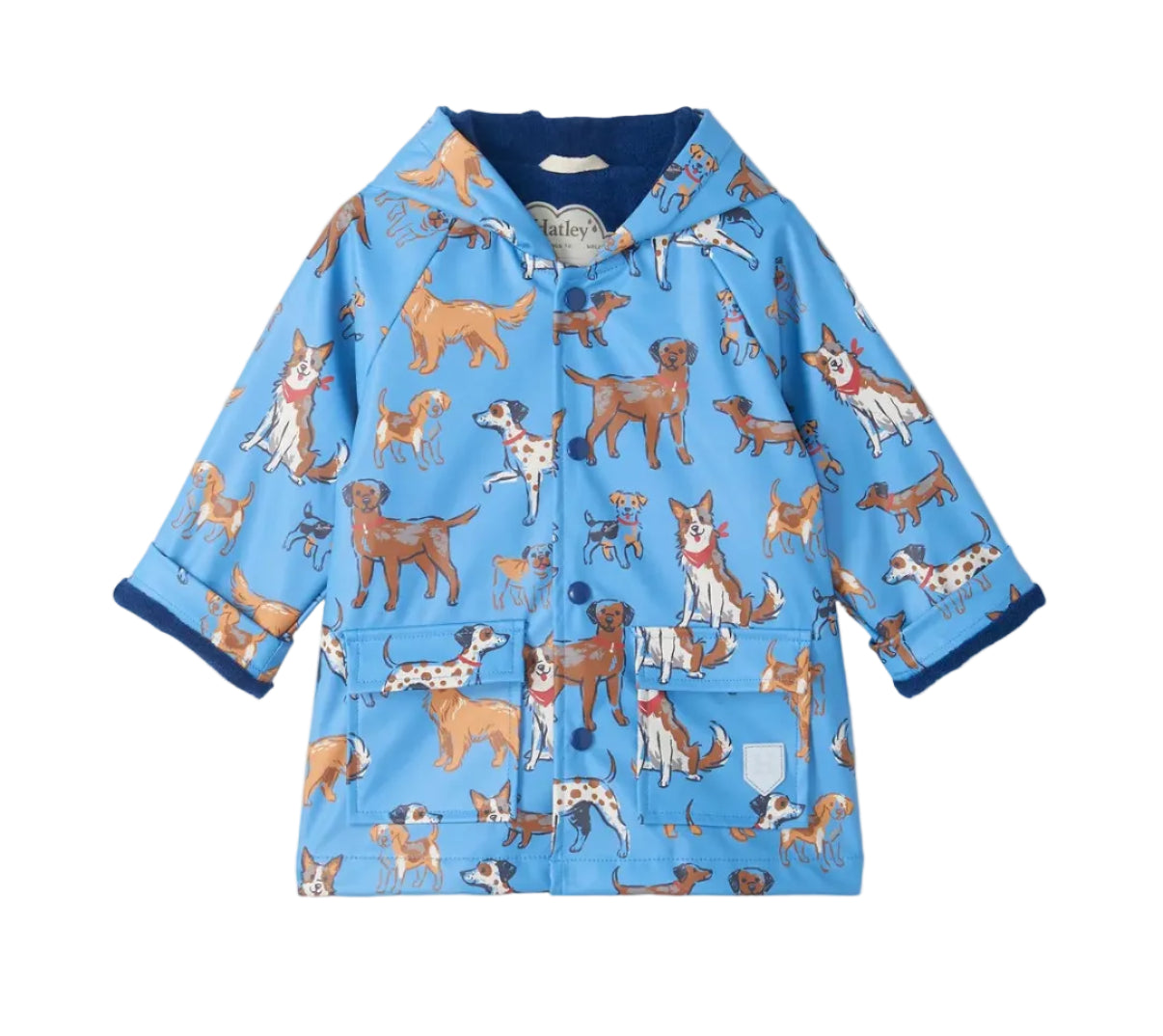 Hatley Blue Little Pups Snap Rain Coat 