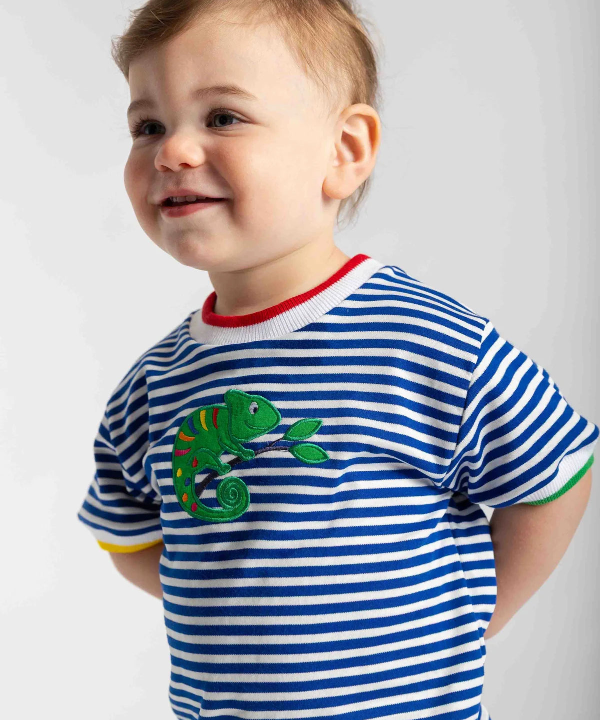 Stripe Knit T Shirt With Lizard