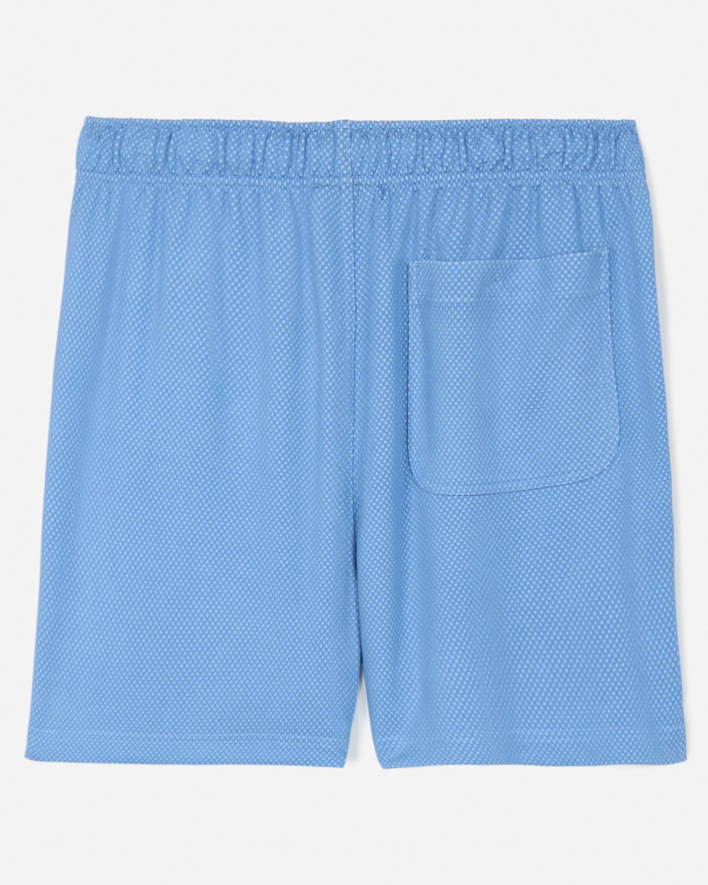 Dot Mesh Shorts - Carolina Blue