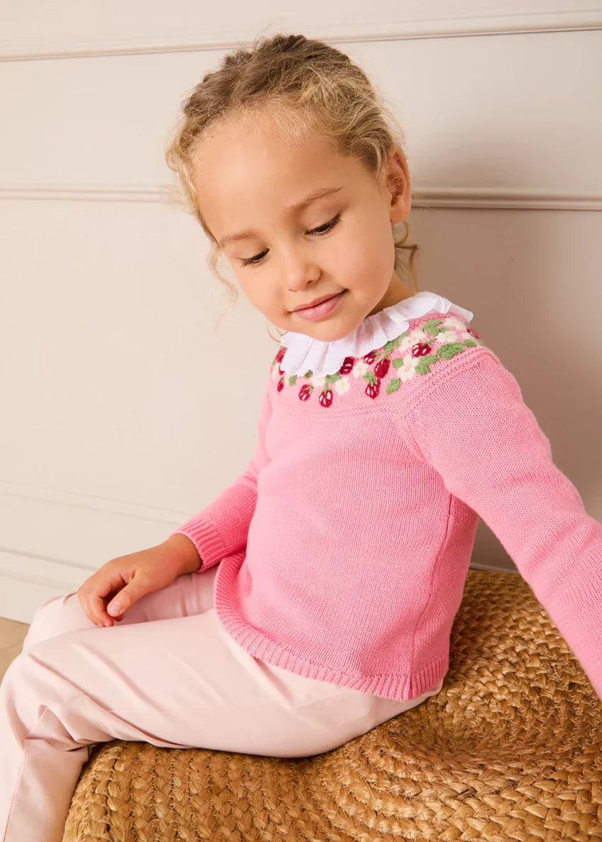 Strawberry Embroidered Jumper in Pink