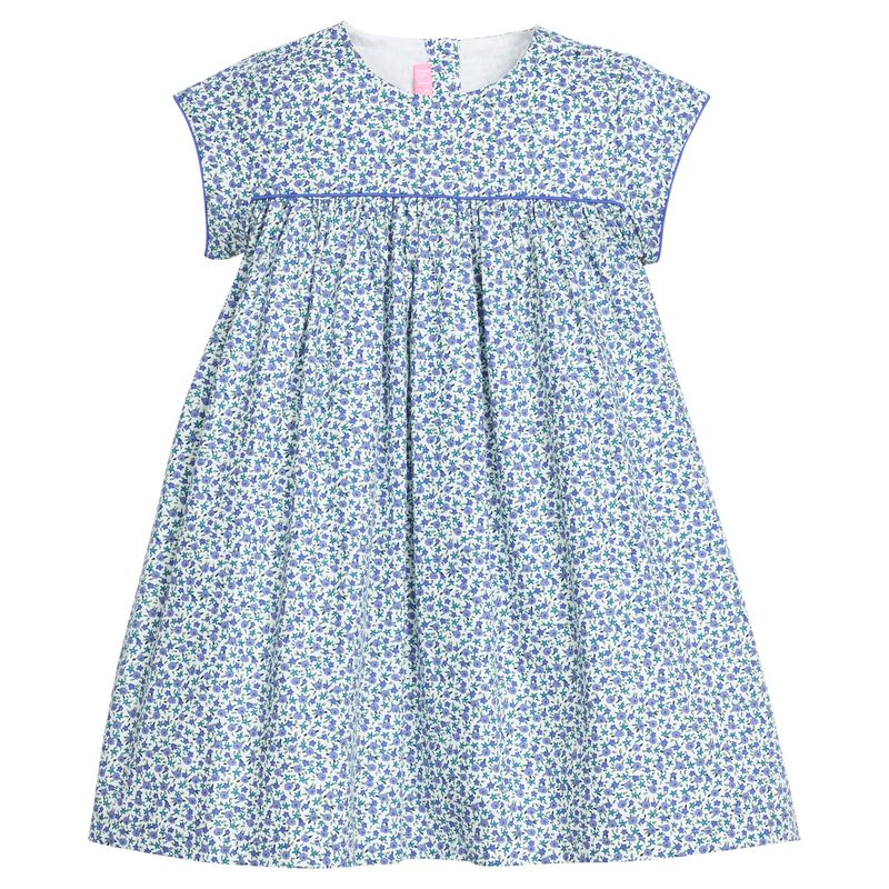 Charlotte Dress- Dillon Ditsy Floral