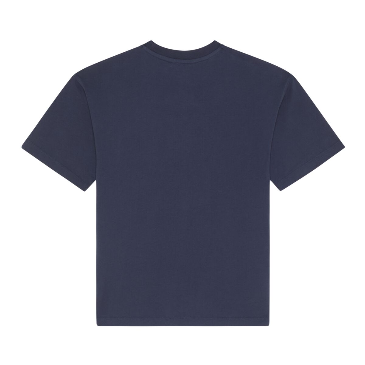Blue Big Turtle Cotton T-Shirt