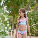 Summer Berries Bikini