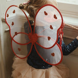 Fairy Costume- Heart