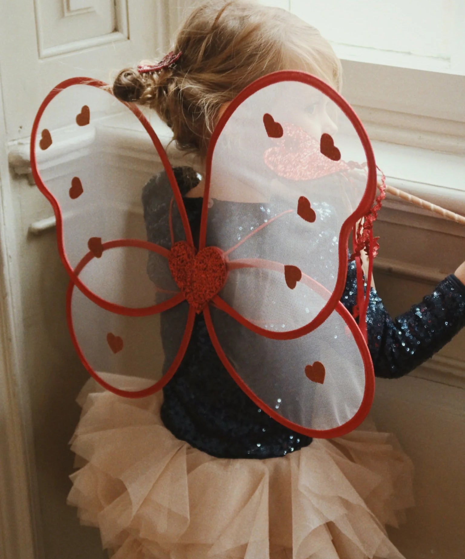Fairy Costume- Heart
