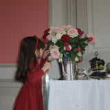 Minnie Dress- Red Dahlia