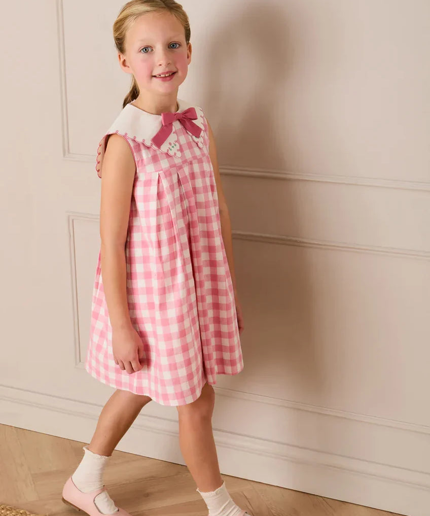 Pepa London Catherine Gingham Embroidered Sleeveless Trapeze Dress in Pink