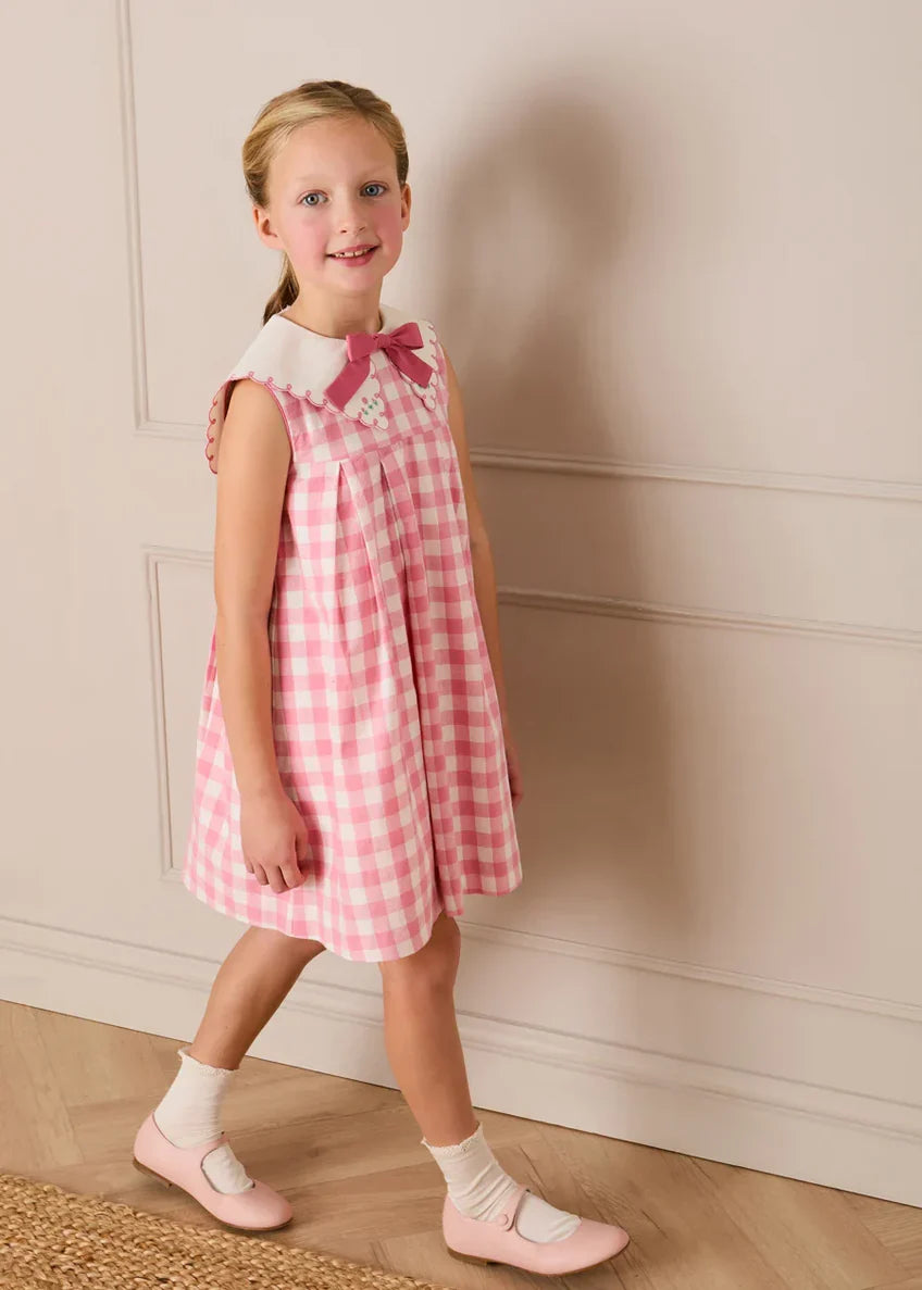 Pepa London Catherine Gingham Embroidered Sleeveless Trapeze Dress in Pink