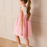 Catherine Gingham Embroidered Sleeveless Trapeze Dress in Pink
