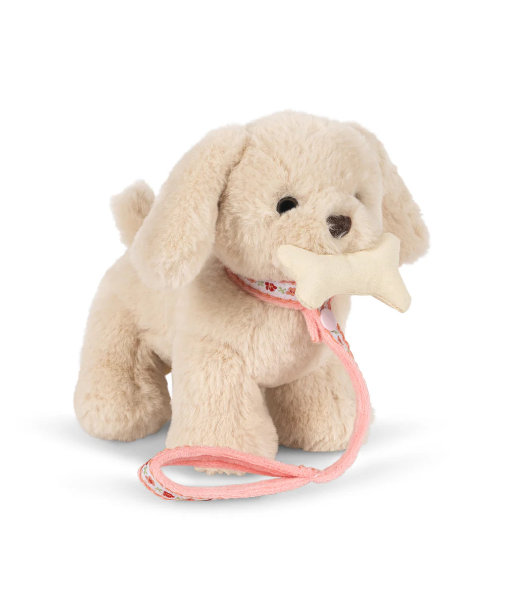 Aiko Puppy