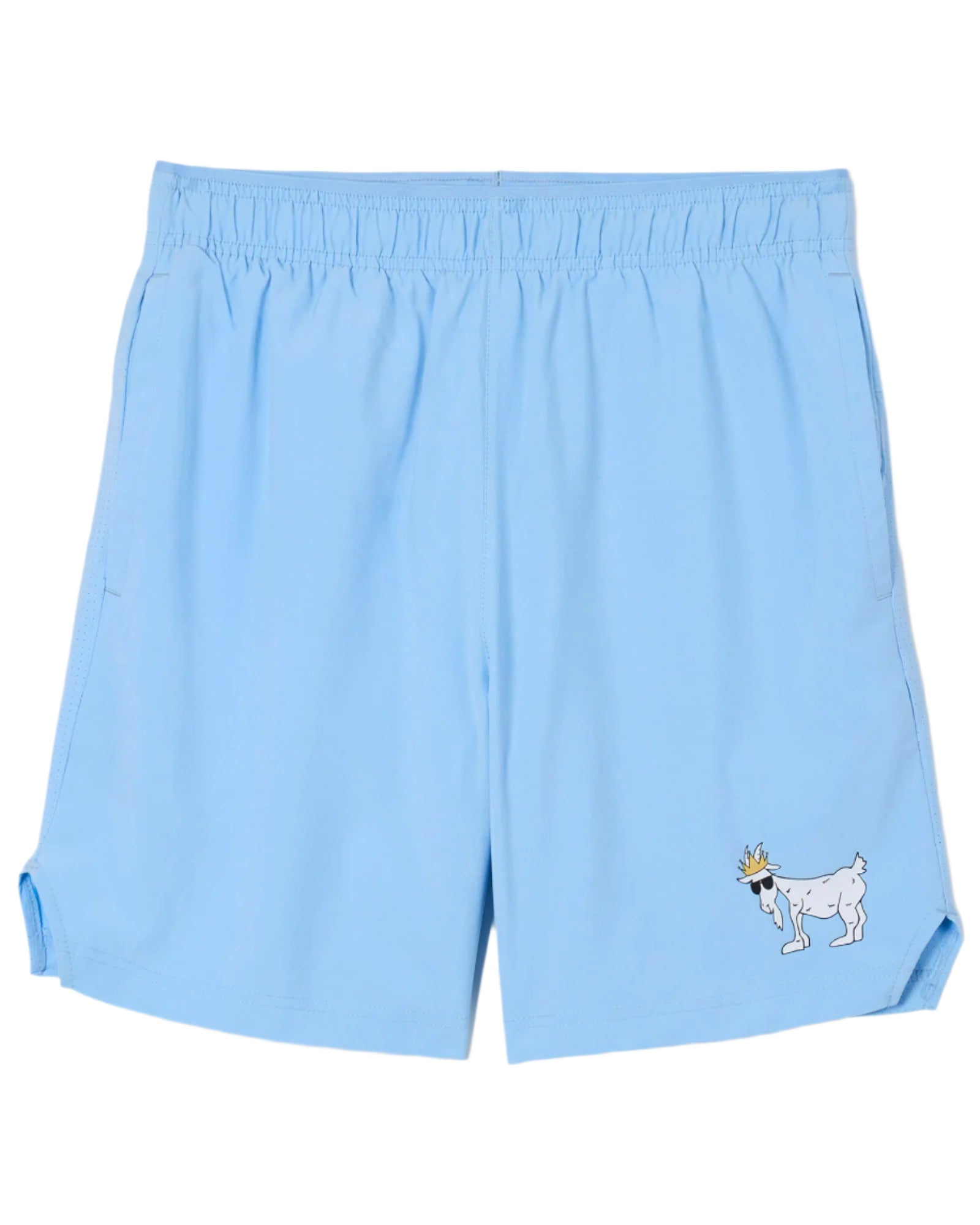 WG 6" Lined Woven Shorts - Carolina Blue