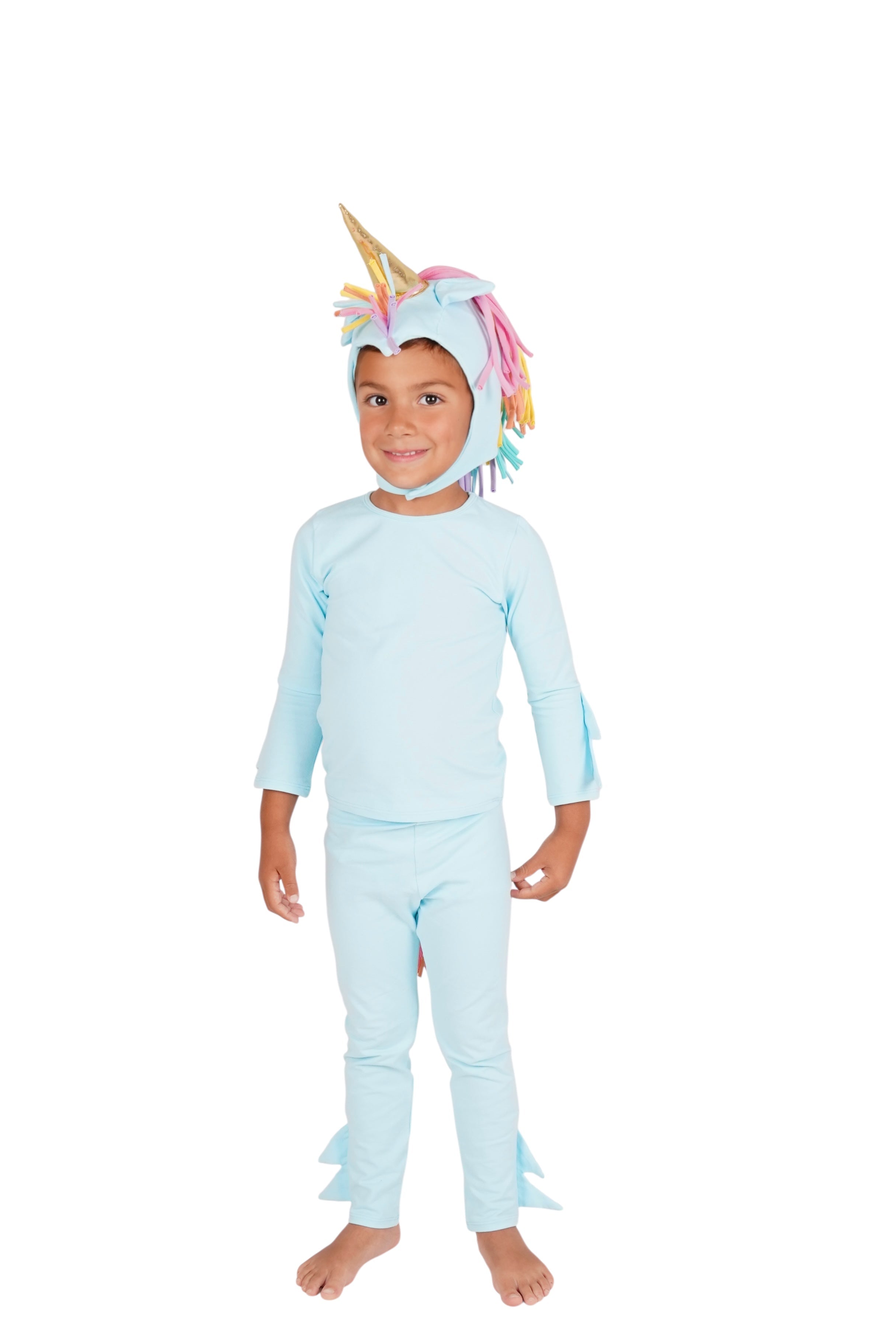 Band of the Wild Sky Unicorn