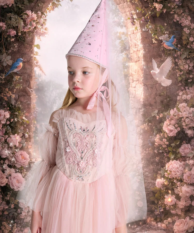  Tutu Du Monde Princess Rose Tutu Dress