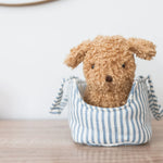 Alimrose Toffee the Puppy and Carrier