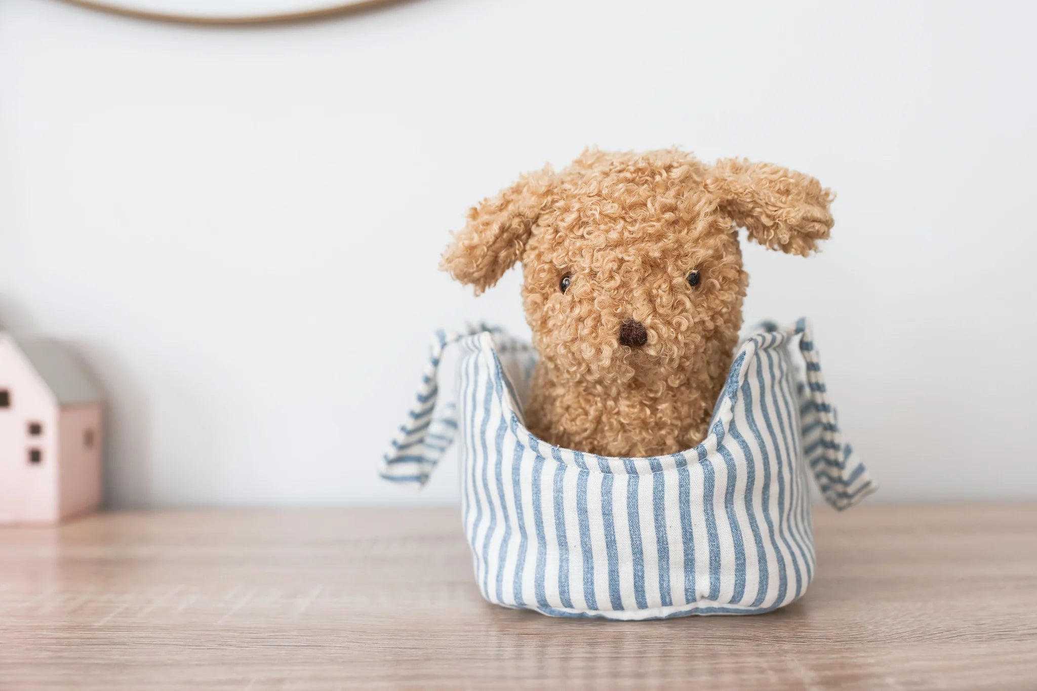 Alimrose Toffee the Puppy and Carrier