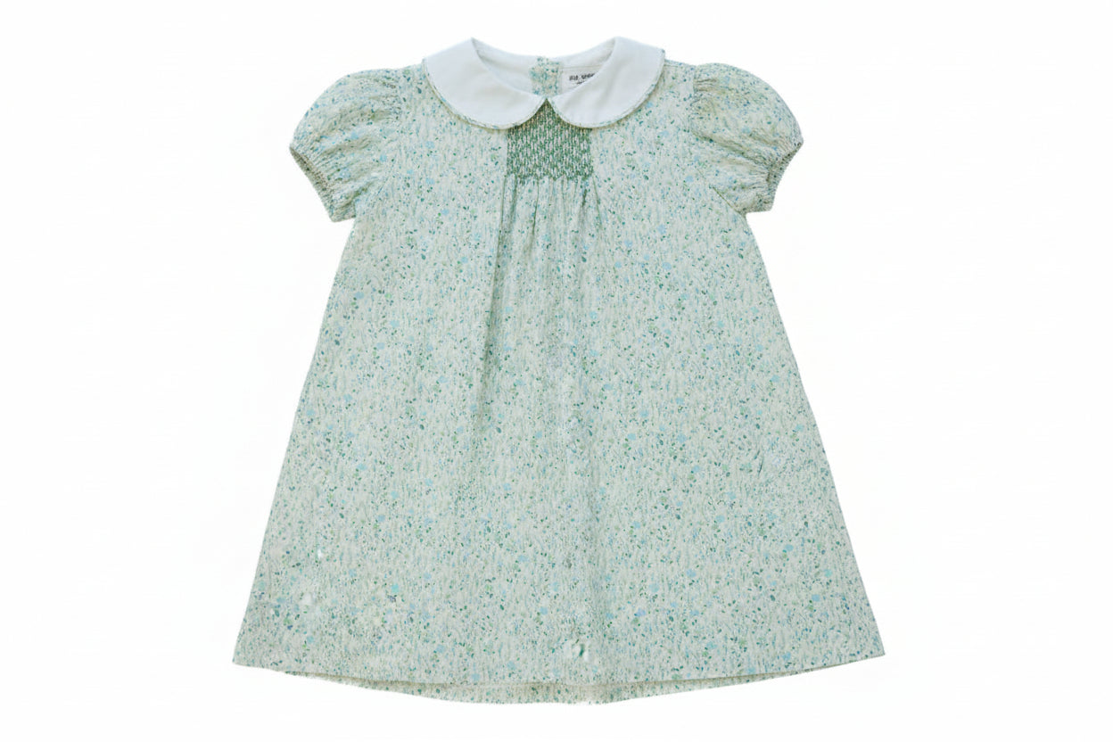 Ruth and Ralph Aqua Floral Sadie Dress