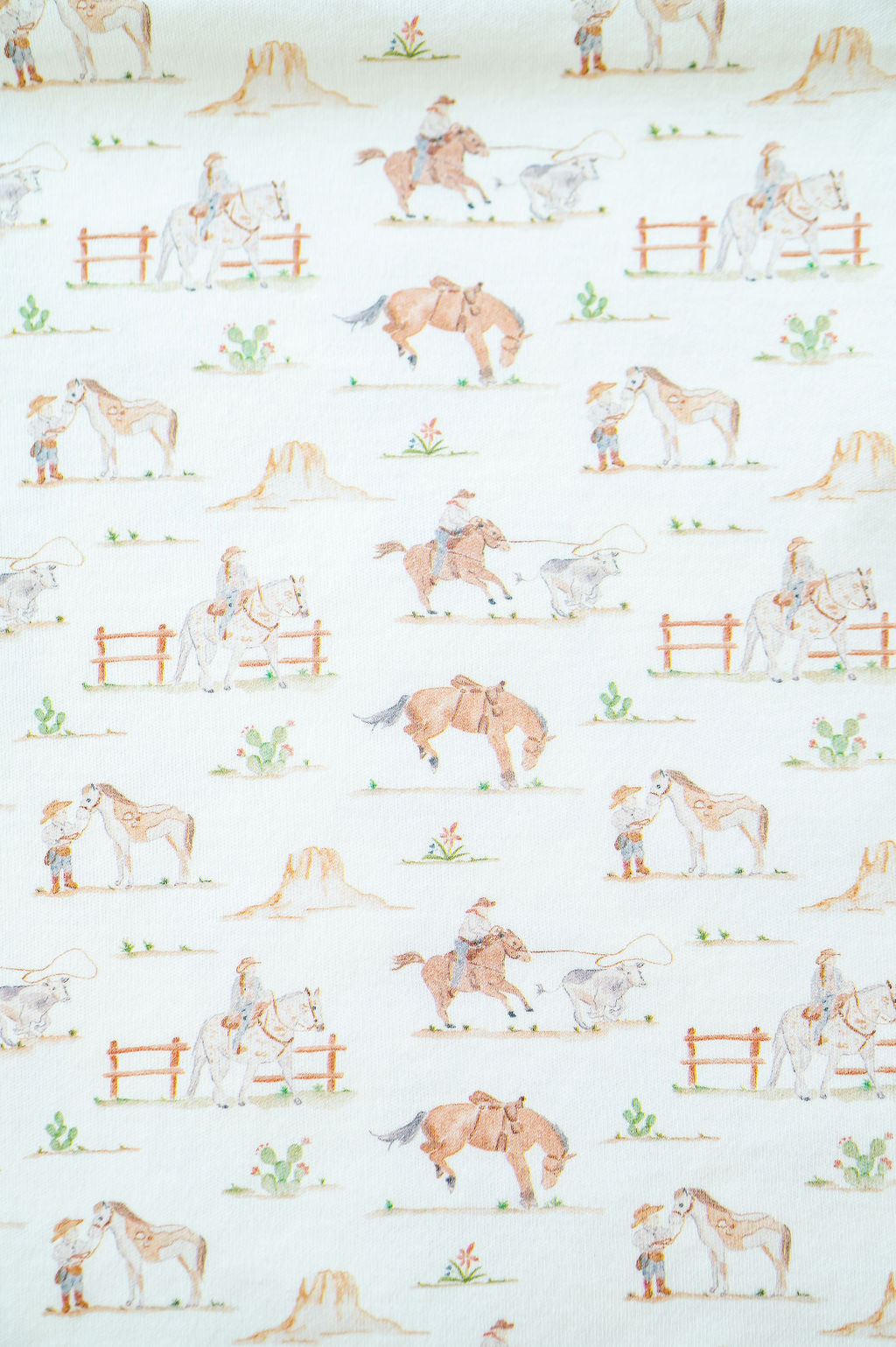 Ruth and Ralph Western Toile Bubble