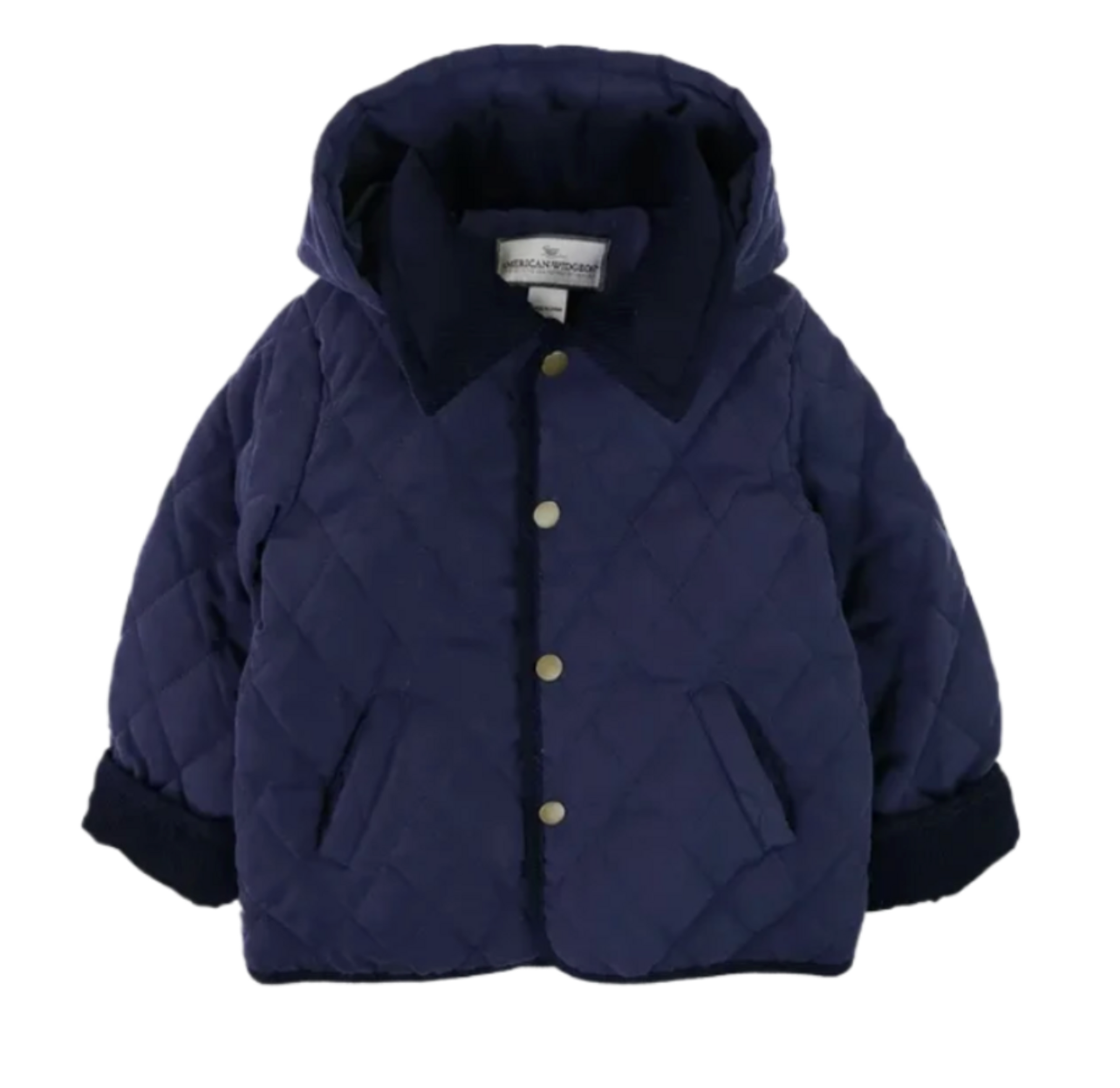 American Widgeon Detachable Hood Jacket- Navy