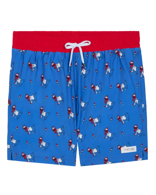 Ice Pop Bathing Suit